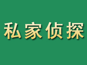 浔阳市私家正规侦探